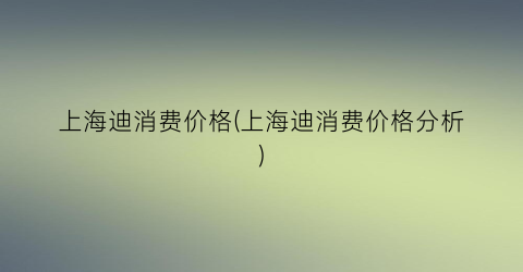 上海迪消费价格(上海迪消费价格分析)