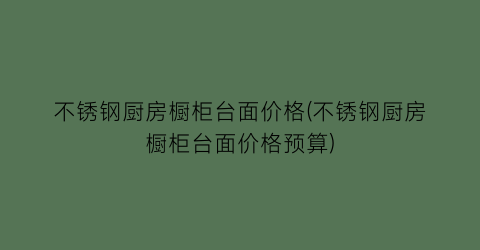 “不锈钢厨房橱柜台面价格(不锈钢厨房橱柜台面价格预算)