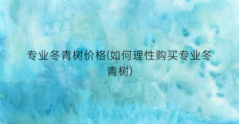 专业冬青树价格(如何理性购买专业冬青树)