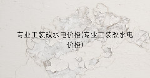 专业工装改水电价格(专业工装改水电价格)