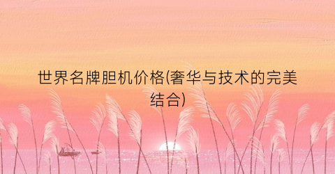 世界名牌胆机价格(奢华与技术的完美结合)