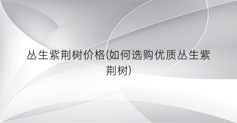 丛生紫荆树价格(如何选购优质丛生紫荆树)