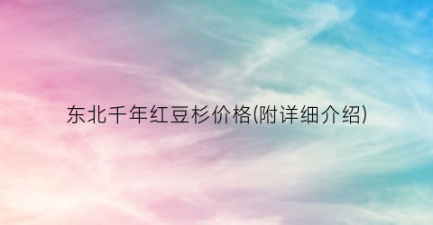 东北千年红豆杉价格(附详细介绍)