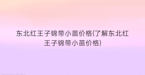 “东北红王子锦带小苗价格(了解东北红王子锦带小苗价格)