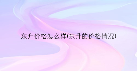 东升价格怎么样(东升的价格情况)