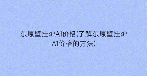 东原壁挂炉A1价格(了解东原壁挂炉A1价格的方法)