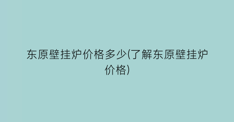 东原壁挂炉价格多少(了解东原壁挂炉价格)
