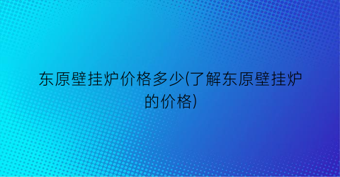 东原壁挂炉价格多少(了解东原壁挂炉的价格)