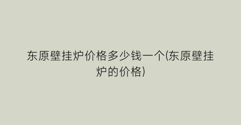 东原壁挂炉价格多少钱一个(东原壁挂炉的价格)