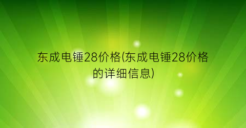 东成电锤28价格(东成电锤28价格的详细信息)
