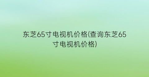 “东芝65寸电视机价格(查询东芝65寸电视机价格)