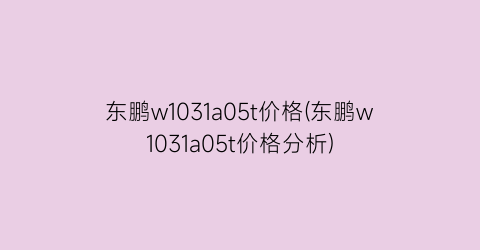 东鹏w1031a05t价格(东鹏w1031a05t价格分析)