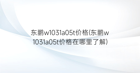 东鹏w1031a05t价格(东鹏w1031a05t价格在哪里了解)