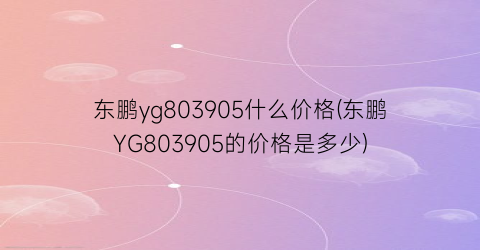 东鹏yg803905什么价格(东鹏YG803905的价格是多少)