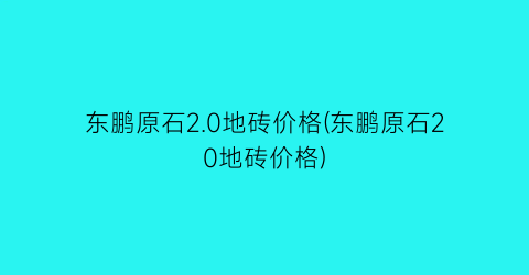 东鹏原石2.0地砖价格(东鹏原石20地砖价格)