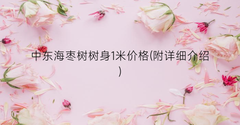 中东海枣树树身1米价格(附详细介绍)