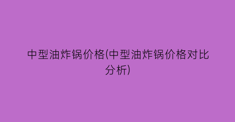 中型油炸锅价格(中型油炸锅价格对比分析)
