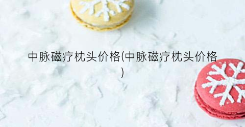 中脉磁疗枕头价格(中脉磁疗枕头价格)