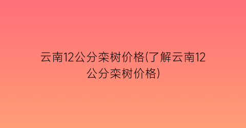 云南12公分栾树价格(了解云南12公分栾树价格)