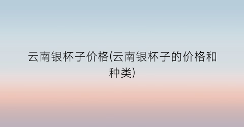 云南银杯子价格(云南银杯子的价格和种类)