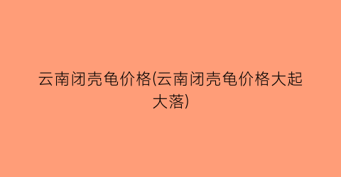 云南闭壳龟价格(云南闭壳龟价格大起大落)