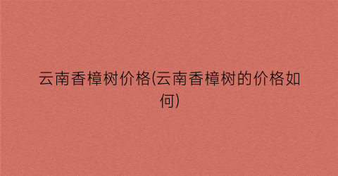 云南香樟树价格(云南香樟树的价格如何)