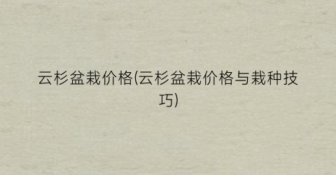 云杉盆栽价格(云杉盆栽价格与栽种技巧)