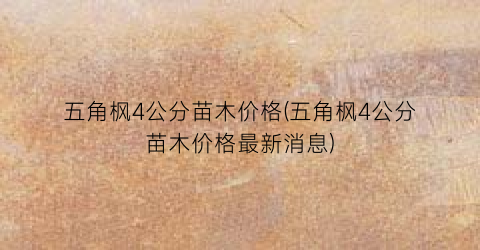 五角枫4公分苗木价格(五角枫4公分苗木价格最新消息)