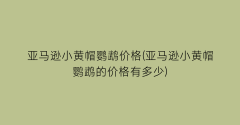 亚马逊小黄帽鹦鹉价格(亚马逊小黄帽鹦鹉的价格有多少)