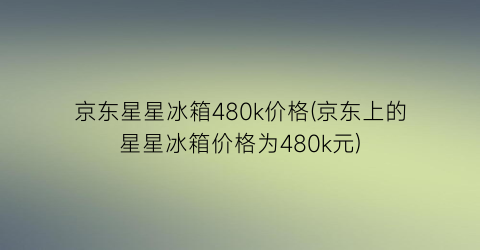 “京东星星冰箱480k价格(京东上的星星冰箱价格为480k元)