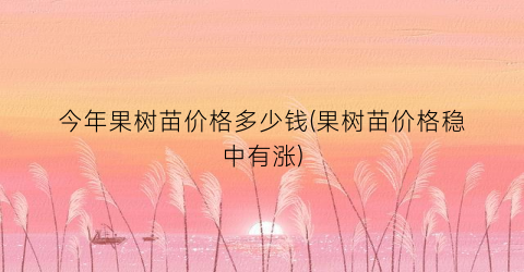 今年果树苗价格多少钱(果树苗价格稳中有涨)