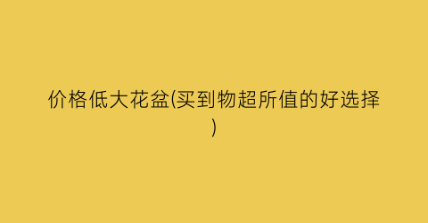 价格低大花盆(买到物超所值的好选择)