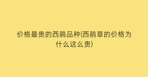 价格最贵的西鹃品种(西鹃草的价格为什么这么贵)