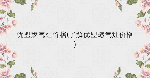 优盟燃气灶价格(了解优盟燃气灶价格)