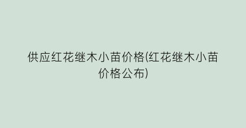 供应红花继木小苗价格(红花继木小苗价格公布)