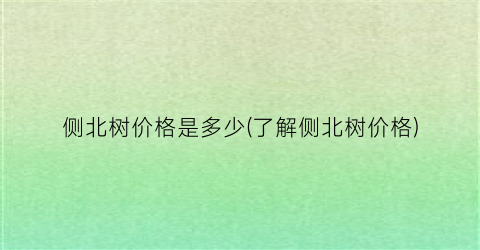 “侧北树价格是多少(了解侧北树价格)