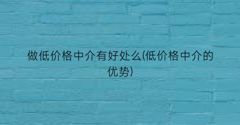 “做低价格中介有好处么(低价格中介的优势)