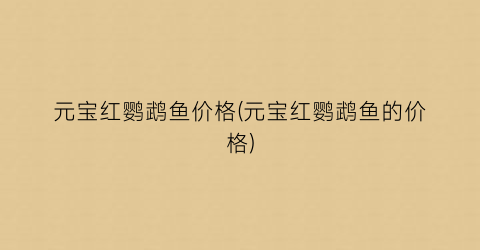 元宝红鹦鹉鱼价格(元宝红鹦鹉鱼的价格)