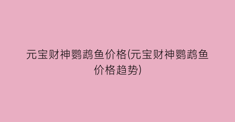 元宝财神鹦鹉鱼价格(元宝财神鹦鹉鱼价格趋势)