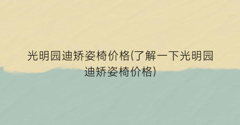 光明园迪矫姿椅价格(了解一下光明园迪矫姿椅价格)