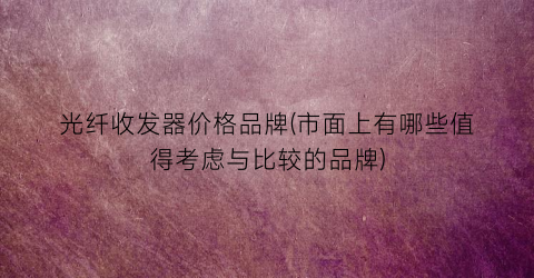 光纤收发器价格品牌(市面上有哪些值得考虑与比较的品牌)
