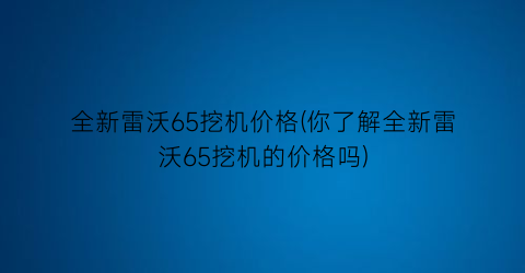 全新雷沃65挖机价格(你了解全新雷沃65挖机的价格吗)