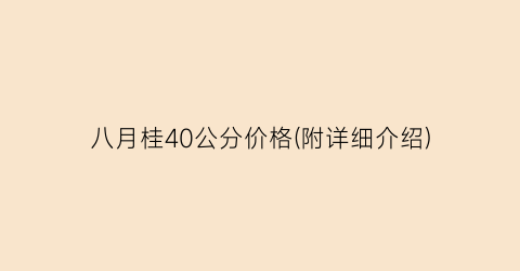 八月桂40公分价格(附详细介绍)