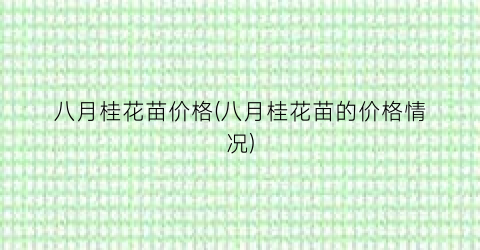 八月桂花苗价格(八月桂花苗的价格情况)