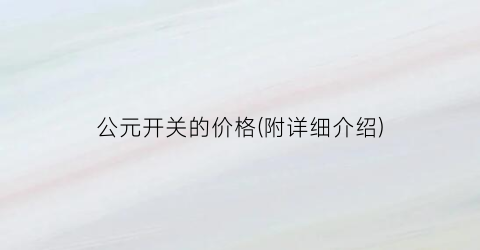 公元开关的价格(附详细介绍)