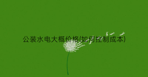 “公装水电大概价格(如何控制成本)