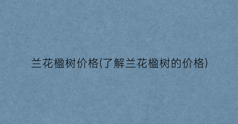 兰花楹树价格(了解兰花楹树的价格)