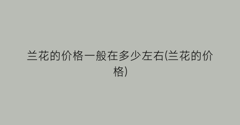 兰花的价格一般在多少左右(兰花的价格)