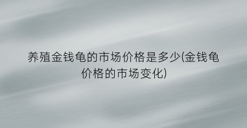 养殖金钱龟的市场价格是多少(金钱龟价格的市场变化)