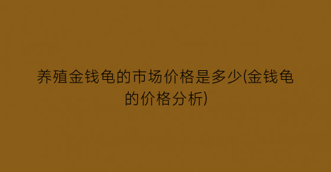养殖金钱龟的市场价格是多少(金钱龟的价格分析)